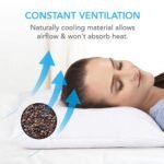 Stylecraft Organic Buckwheat Pillow